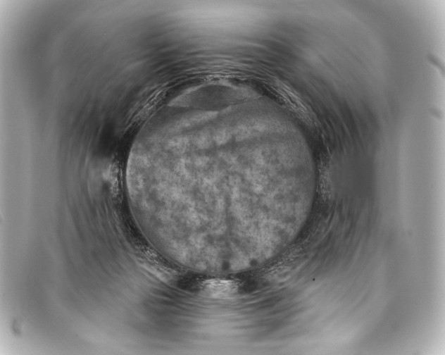 X0000098110169200804181502