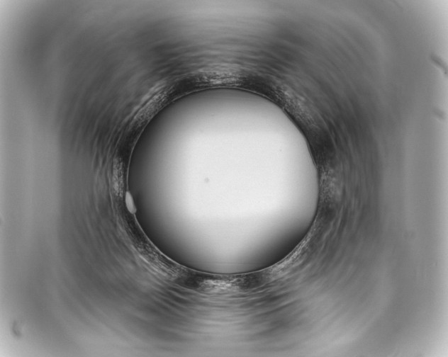 X0000098110170200804181502