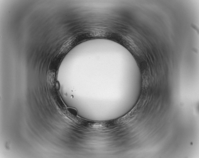 X0000098110171200804181502