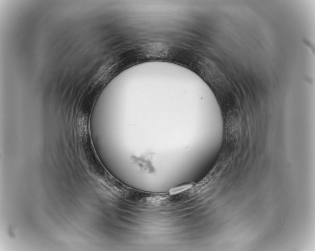 X0000098110172200804181502