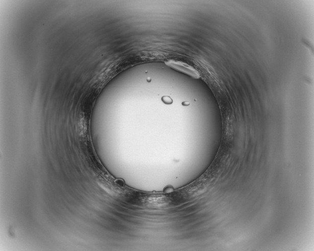 X0000098110173200804181502