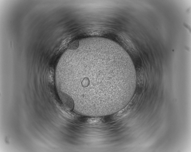 X0000098110175200804181502