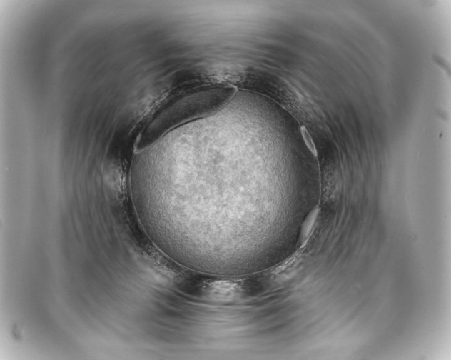 X0000098110176200804181502