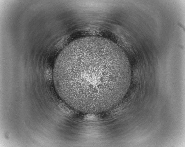 X0000098110177200804181502