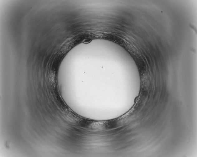 X0000098110178200804181502