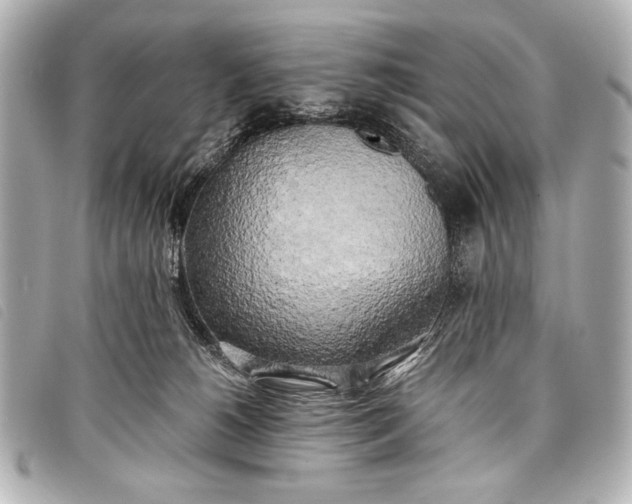 X0000098110180200804181502