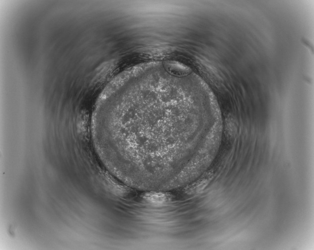 X0000098110181200804181502