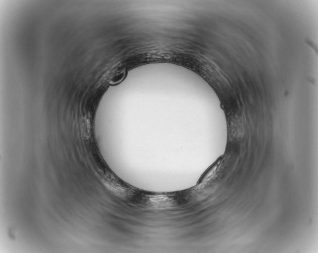 X0000098110183200804181502