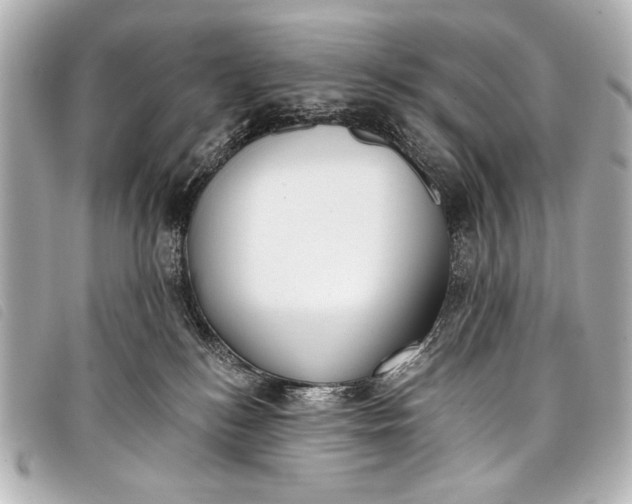 X0000098110184200804181502