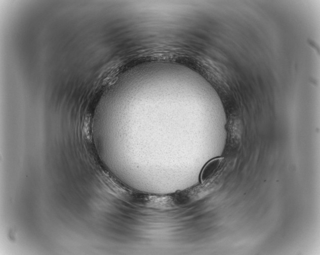 X0000098110185200804181502