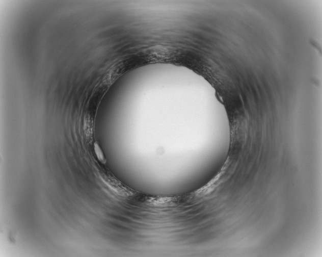 X0000098110186200804181502