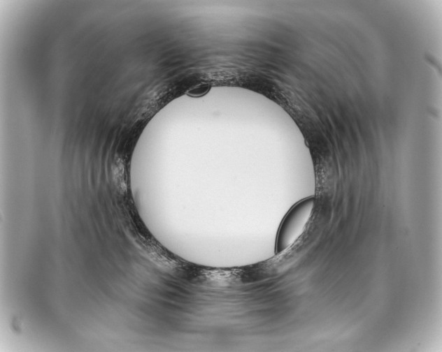 X0000098110187200804181502