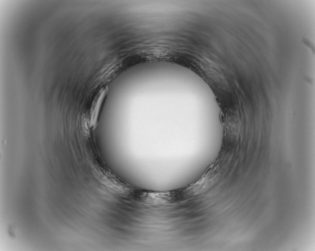 X0000098110188200804181502