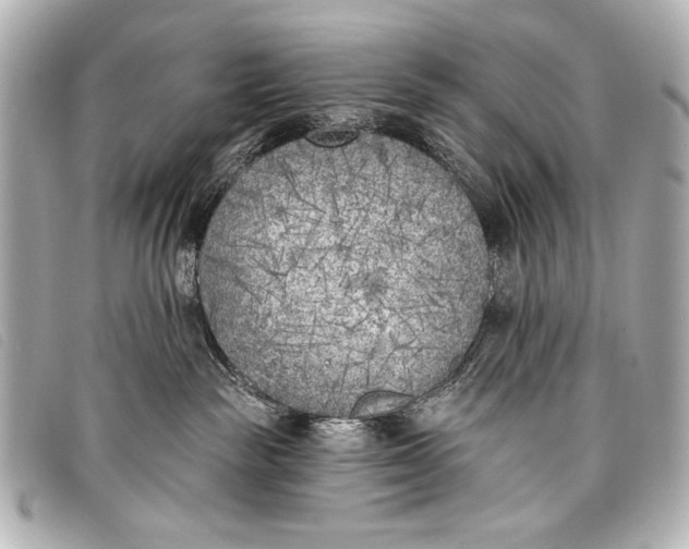 X0000098110189200804181502