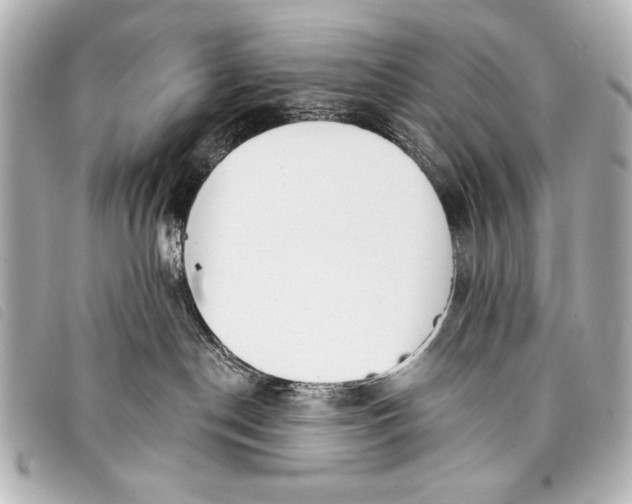 X0000098110190200804181502