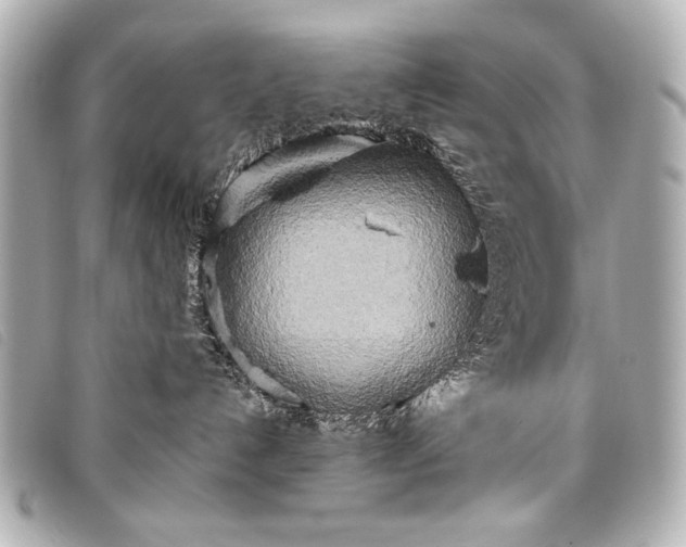 X0000098110192200804181502