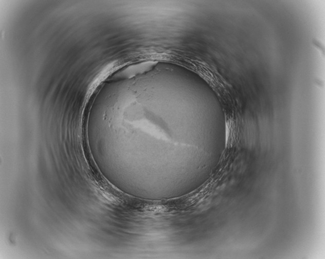 X0000098110195200804181501