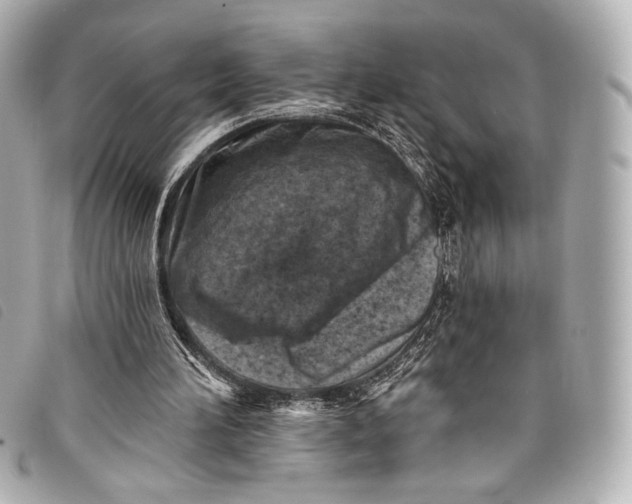 X0000098110196200804181501