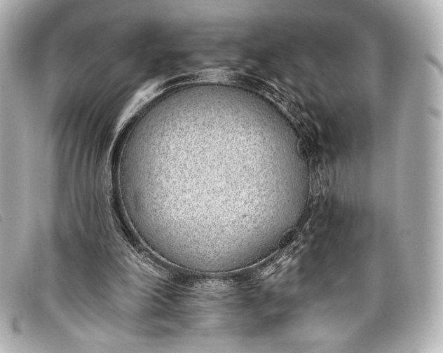 X0000098110198200804181501