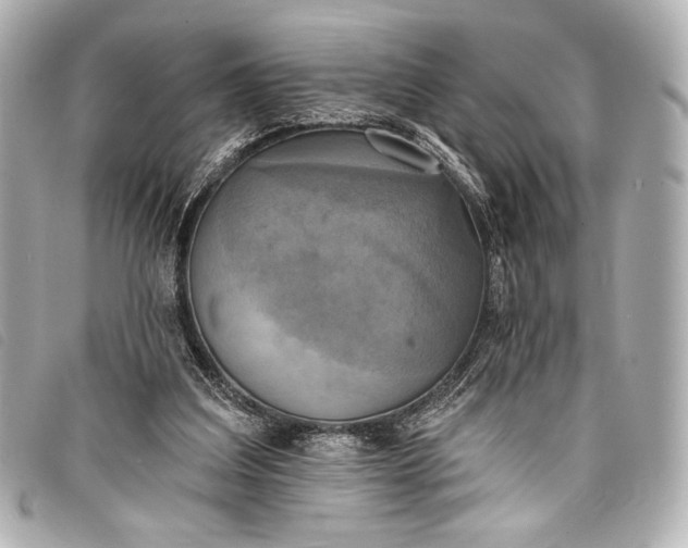 X0000098110203200804181501