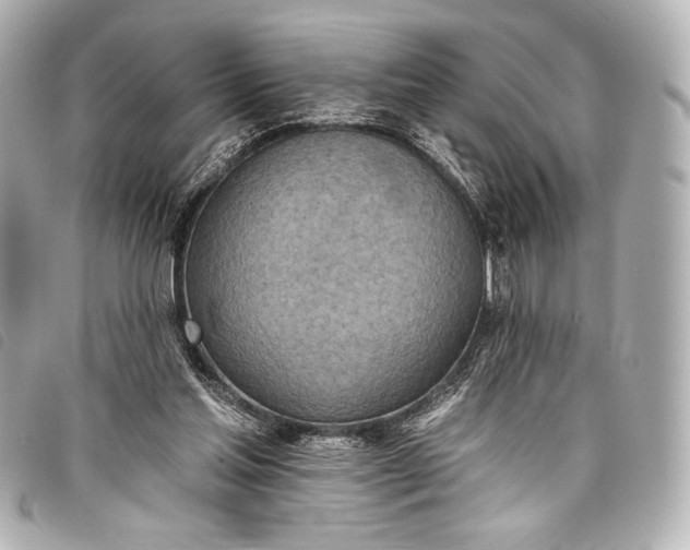 X0000098110205200804181501