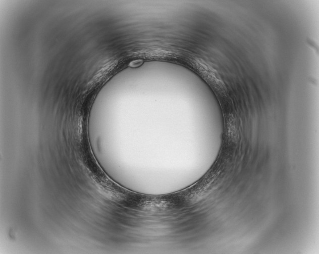 X0000098110206200804181501