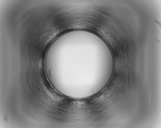 X0000098110208200804181501
