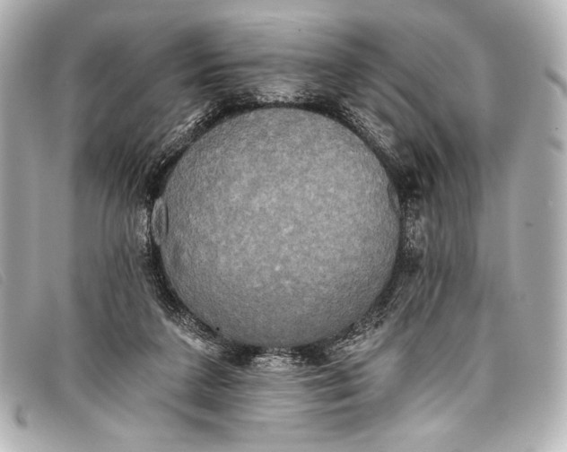 X0000098110211200804181501