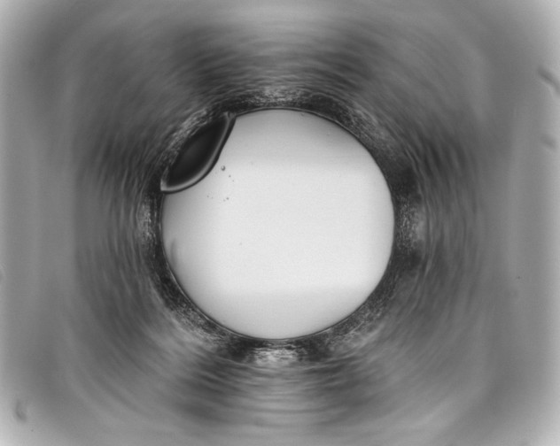 X0000098110220200804181501