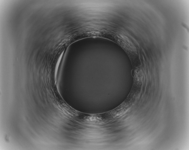 X0000098110223200804181501
