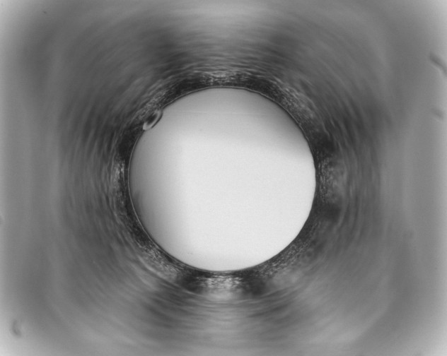 X0000098110225200804181501