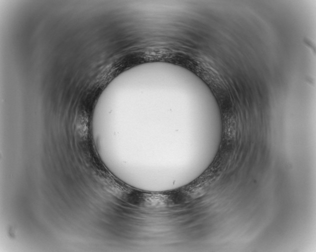 X0000098110226200804181501