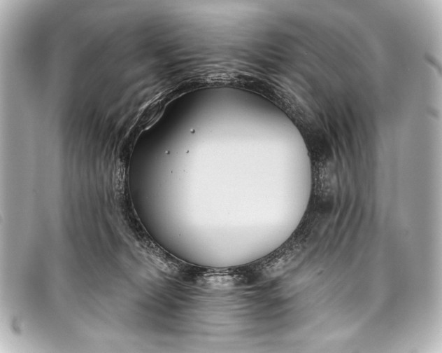 X0000098110228200804181500