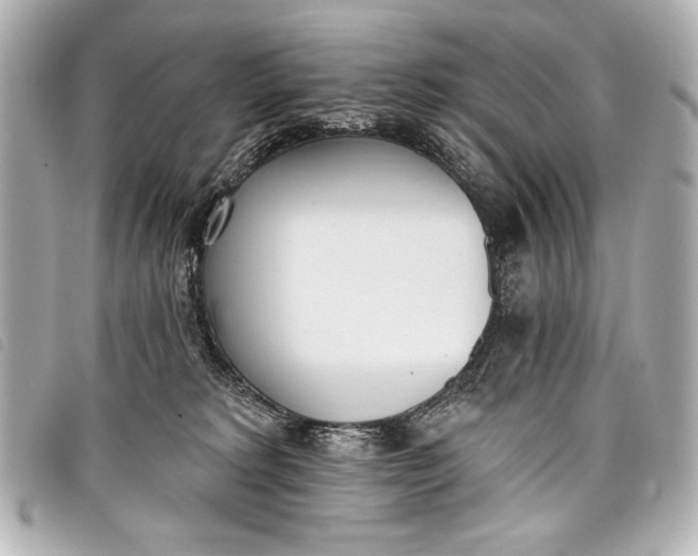 X0000098110229200804181500