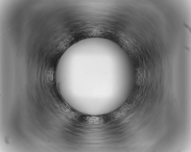 X0000098110230200804181500