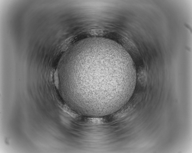 X0000098110233200804181500