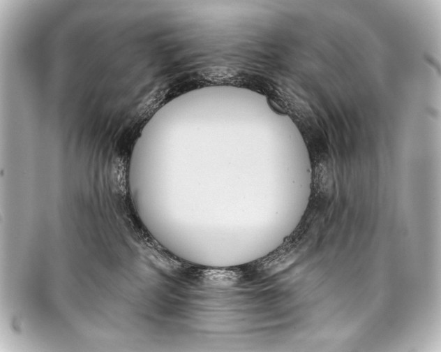 X0000098110234200804181500