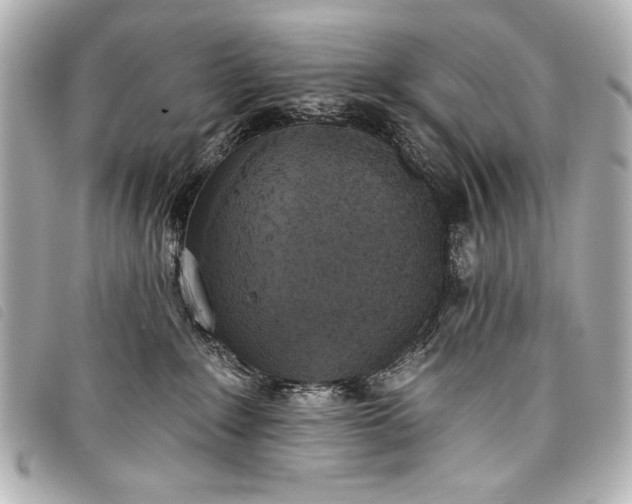 X0000098110235200804181500