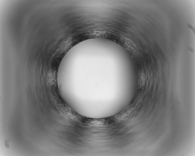 X0000098110236200804181500