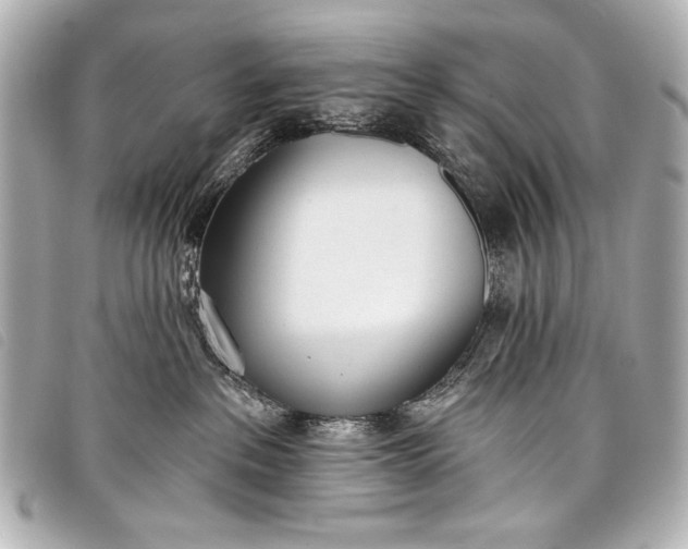 X0000098110237200804181500