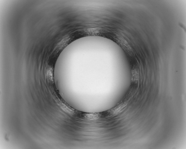 X0000098110238200804181500