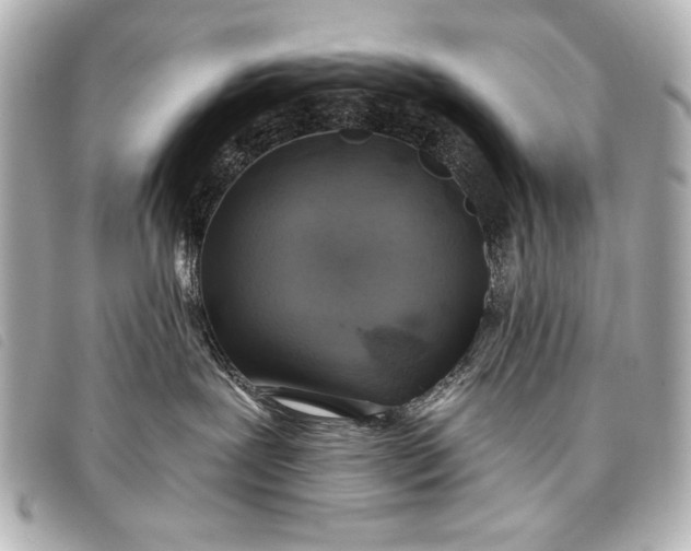 X0000098110239200804181500