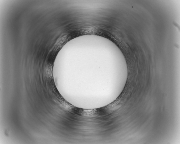 X0000098110240200804181500