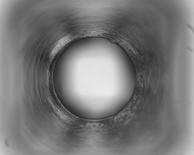 X0000098110242200804181459