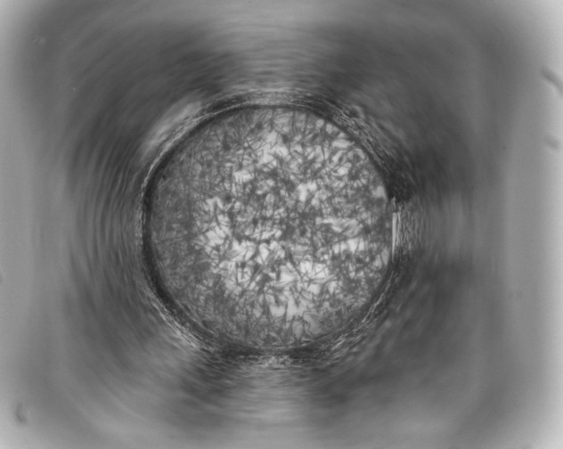X0000098110243200804181459