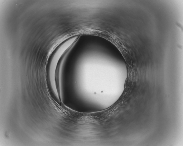 X0000098110244200804181459