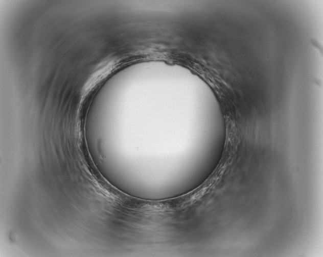X0000098110245200804181459