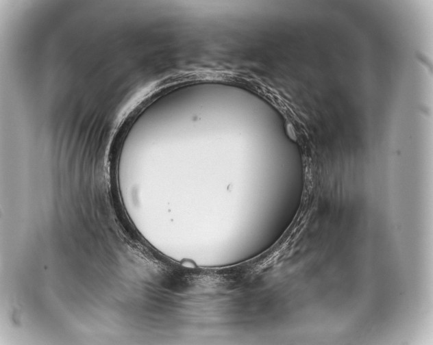 X0000098110246200804181459