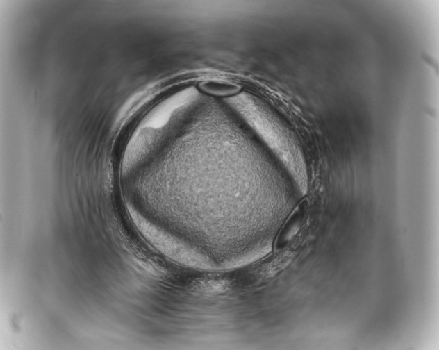 X0000098110247200804181500