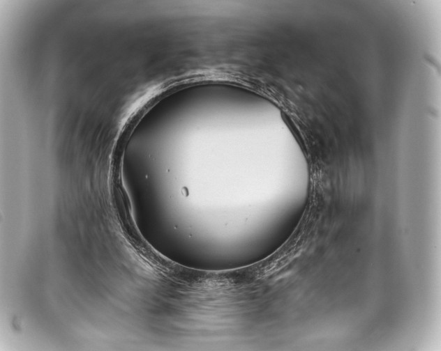 X0000098110248200804181500